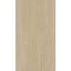Indoor WPC Wall Cladding Wood Grain Interior WPC Timber Composite WPC Wall Panel