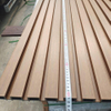 100% Waterproof Durable Plastic WPC Composite Wall Panel
