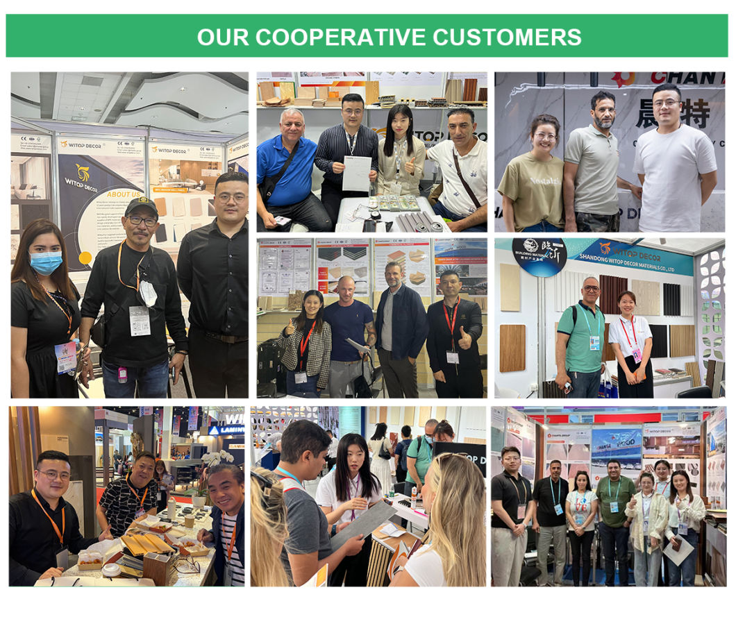 Waterproof Design Office Luxury 3D WPC Great Wall Panel