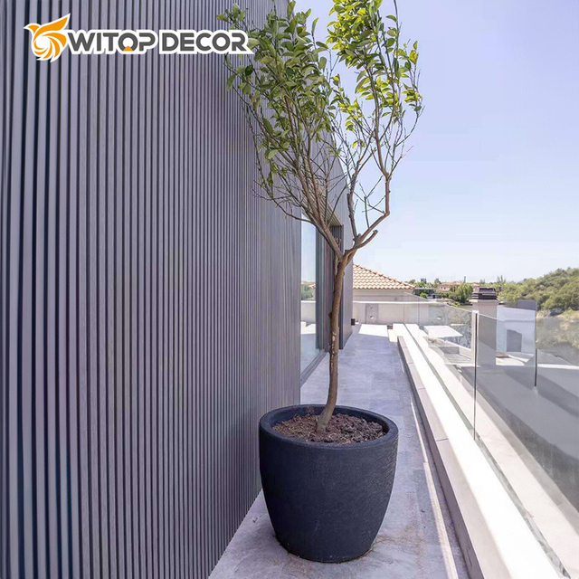 Exterior Anti-Rot Outdoor Wood Plastic Composite WPC Wall Cladding