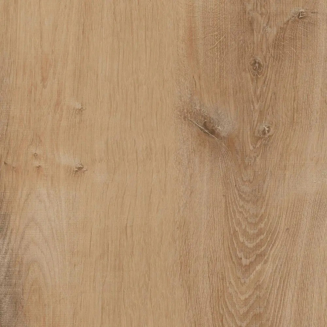 New Design Furniture Decoration Vinyl Spc WPC Laminate Flooring