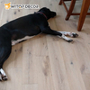 High Quality Plastic Click Vinyl PVC Flooring Spc Plank Floating Floor