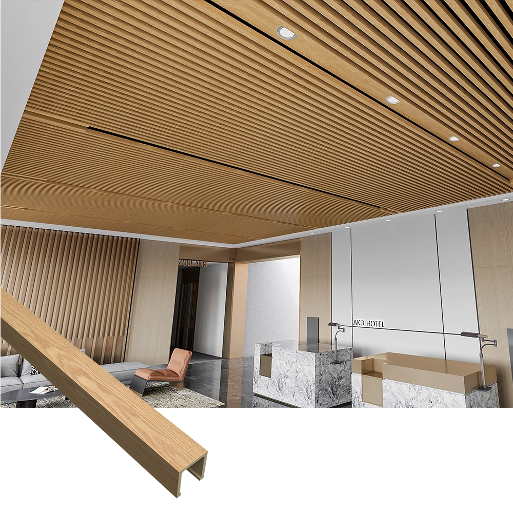 ceiling_1000_1000.jpg