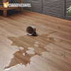 Indoor Decoration Click Lock Spc PVC Vinyl Plank Tile Flooring