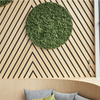 Improve Sound Quality with High-Quality Acoustic Panels