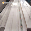 New Environmental Protection Waterproof and Fireproof Interior Wall Cladding Panel Hollow WPC Wall Panel