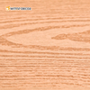 Eco-Friendly WPC Wood Plastic Panel Decorative WPC out Door Panel