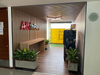 WPC Wall Panel Interior