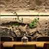 Transform Any Room with Stunning Pustone Wall Panels