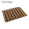 Outdoor Decoration WPC Wall Cladding Wall Panel